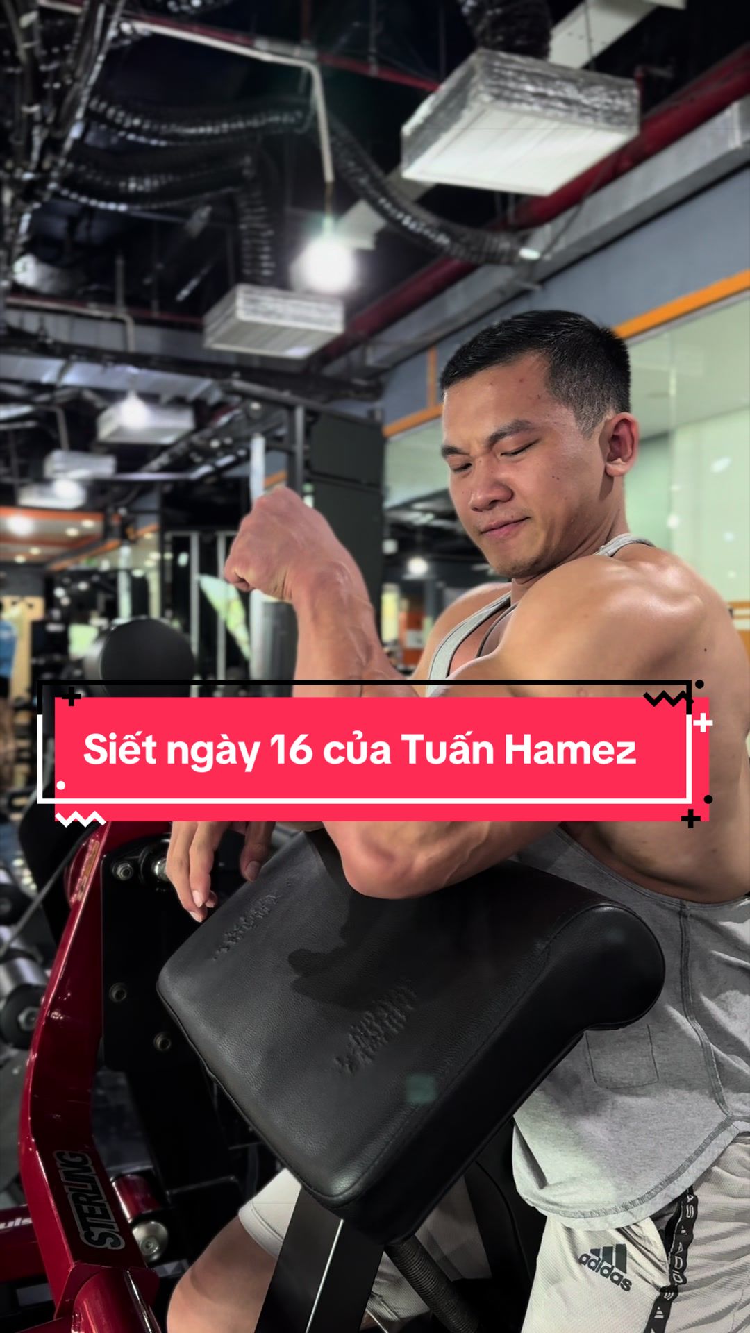 @Tuan Hamez