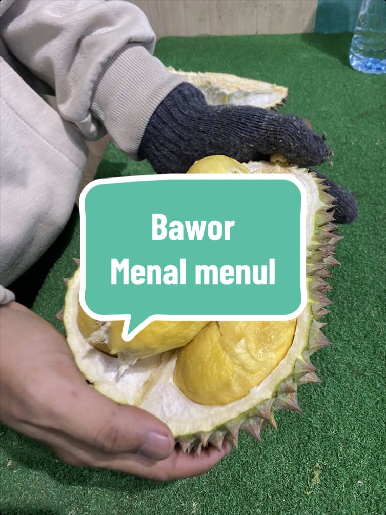 @Rumah Tamma Durian