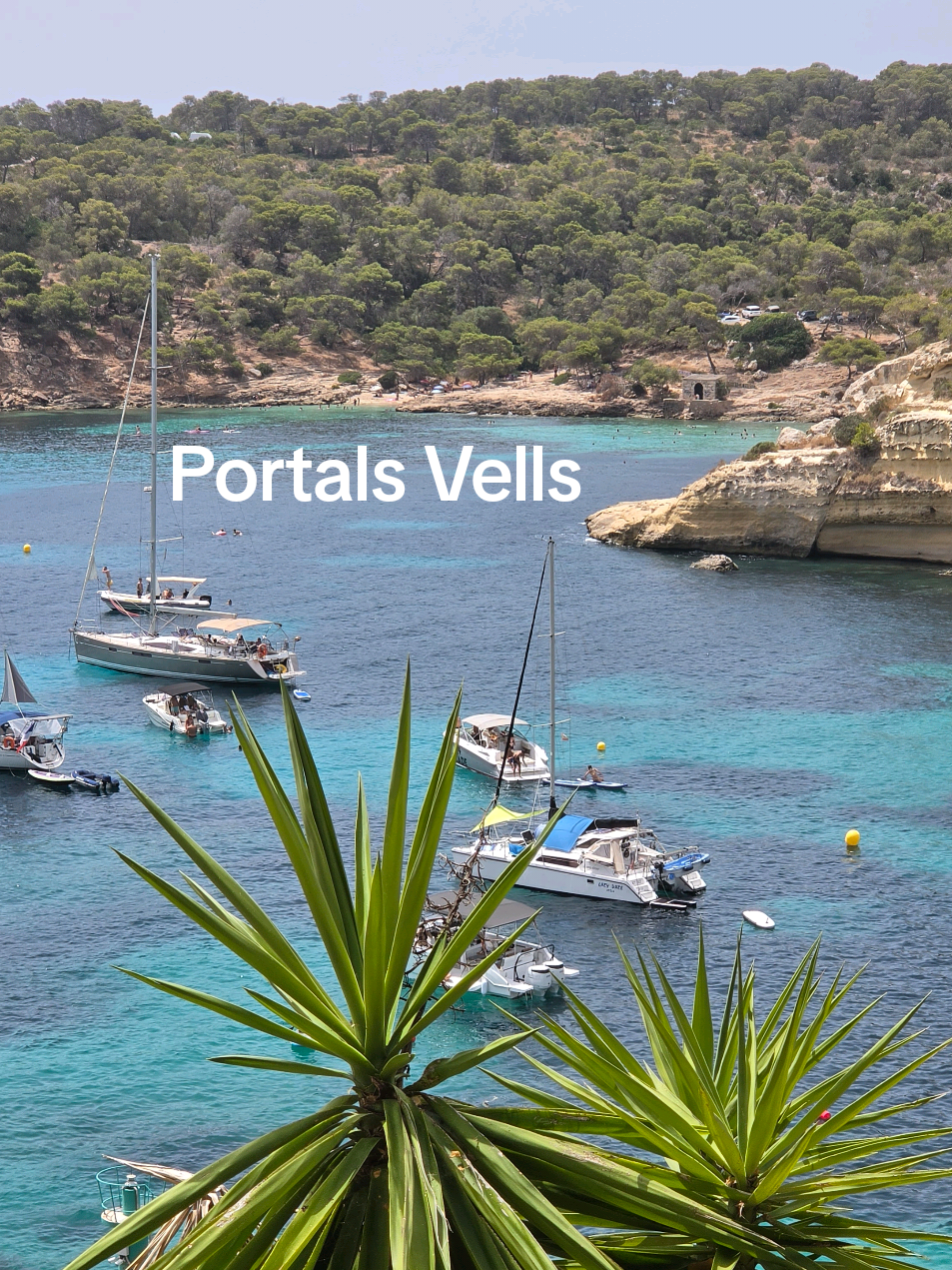 @Alla | Mallorca
