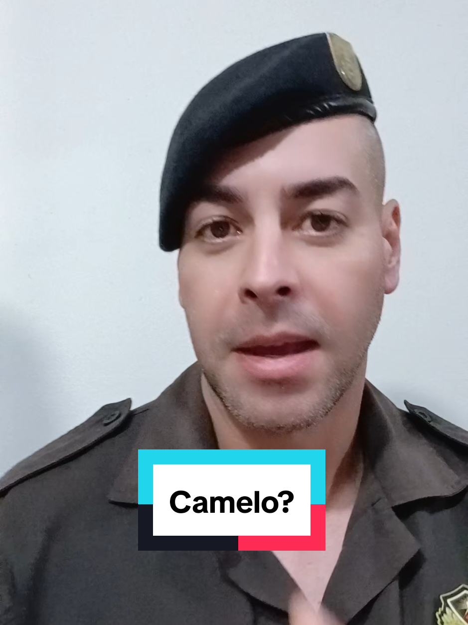 @Ramalho