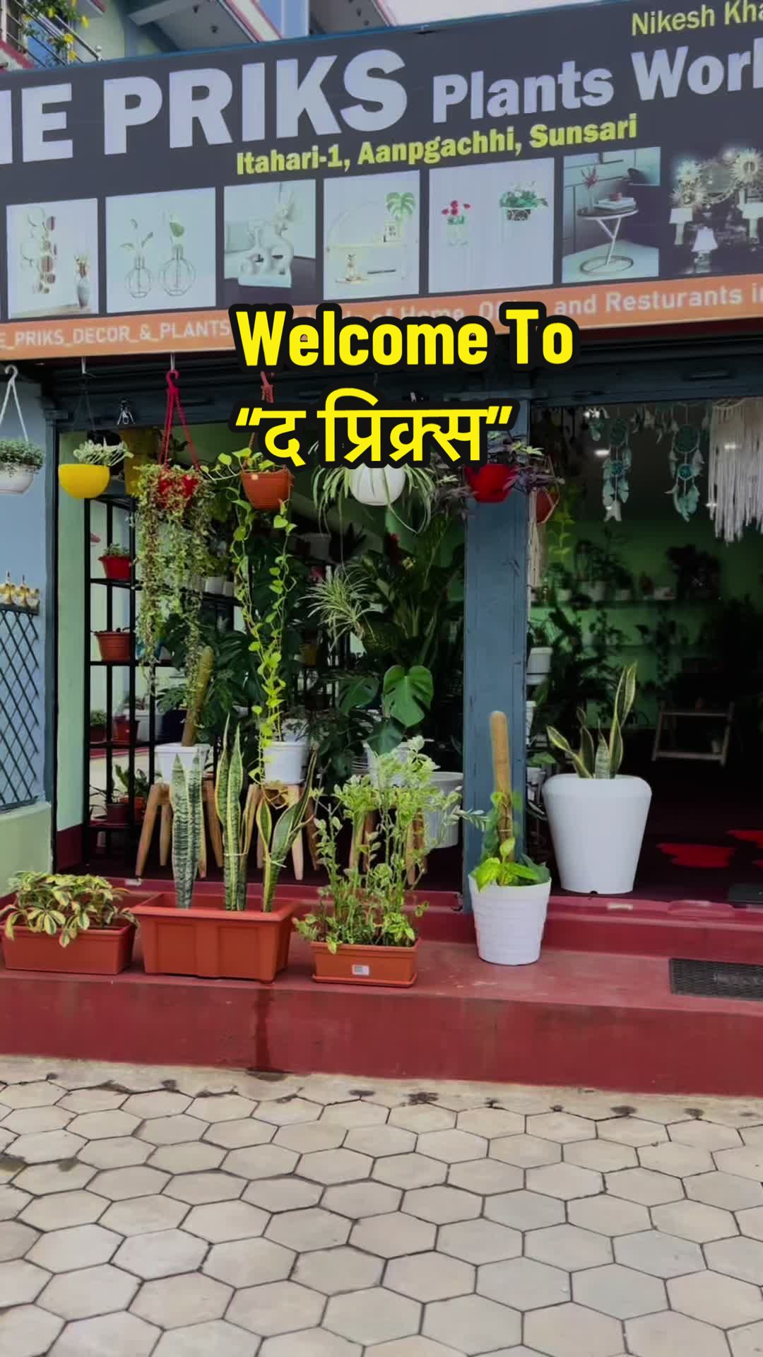 @GLOBAL DREAMS