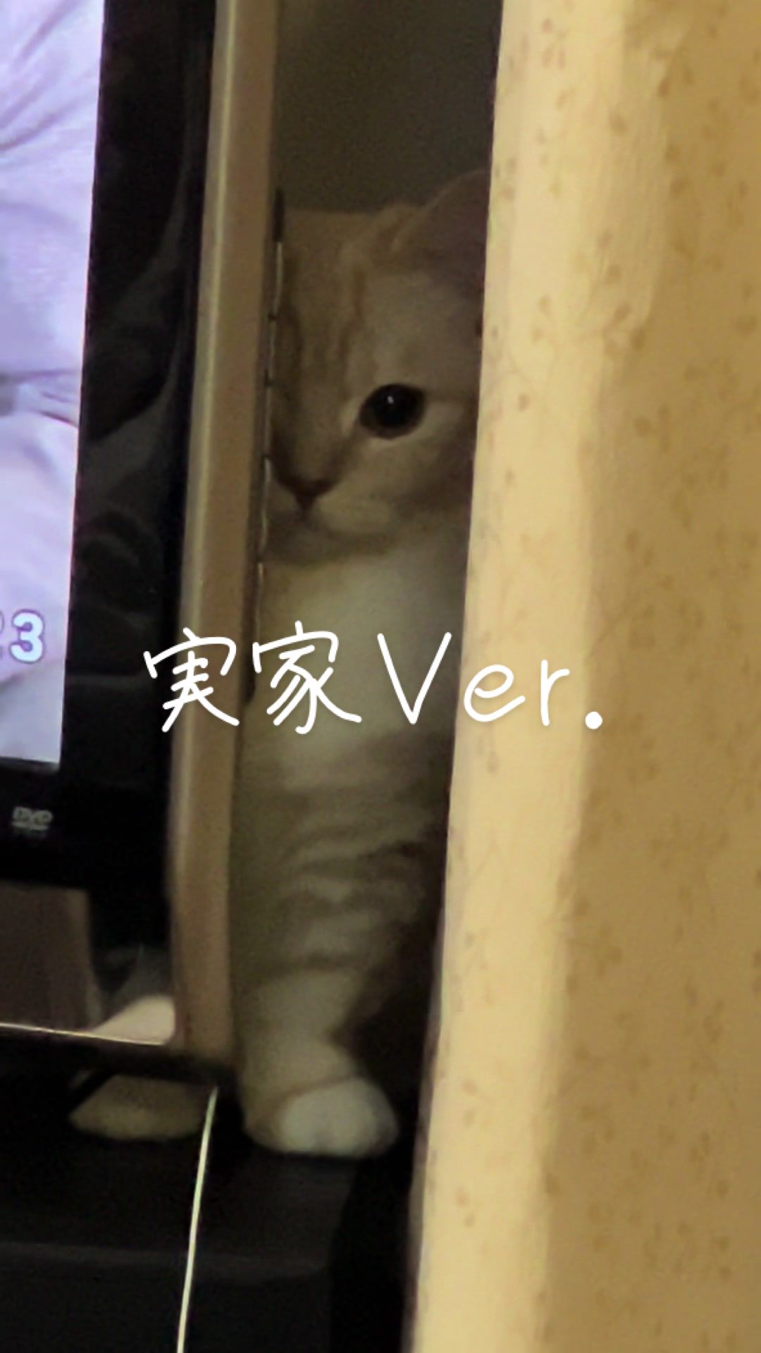 @縫くんと私