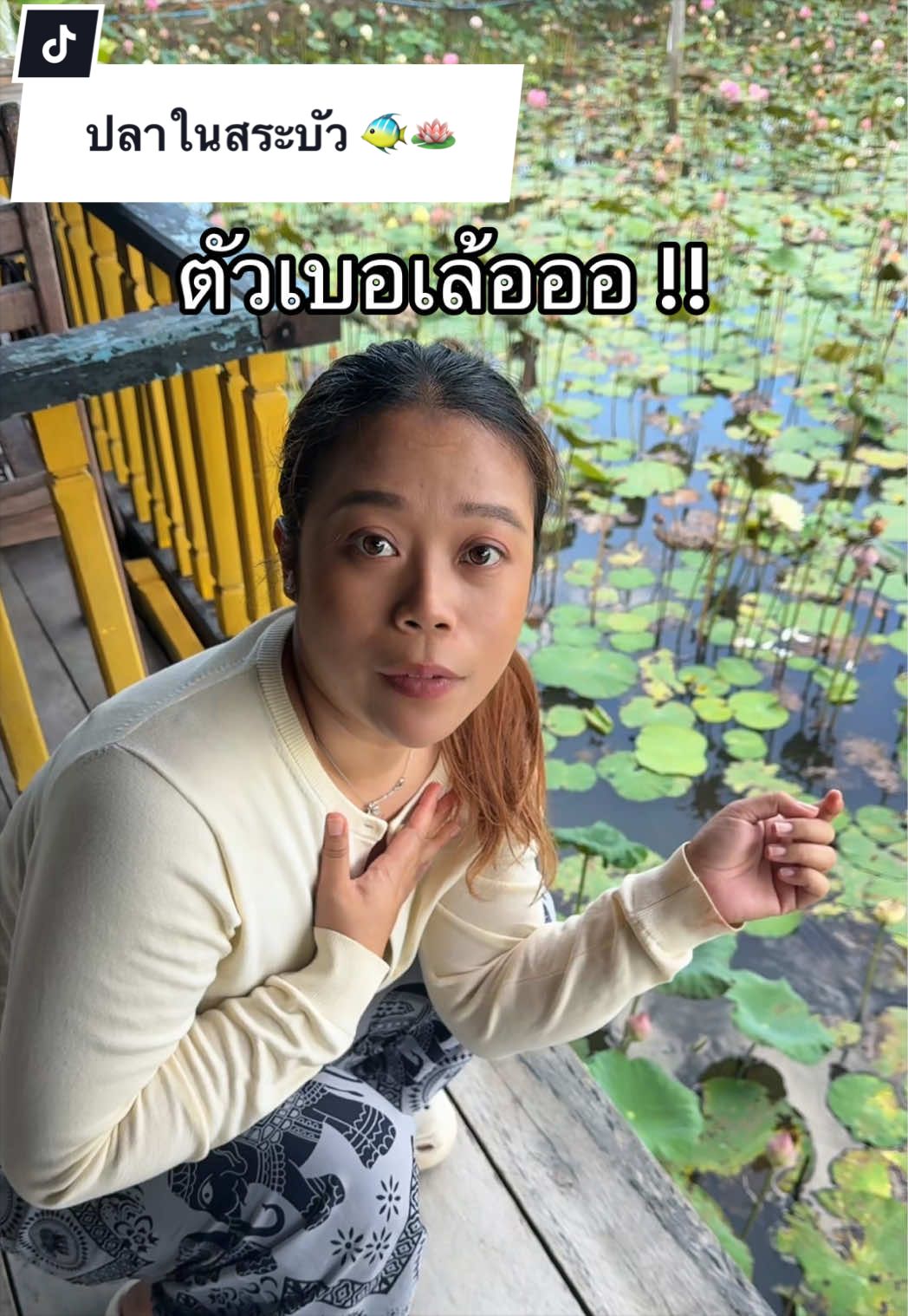 @หมูหมีจัดให้