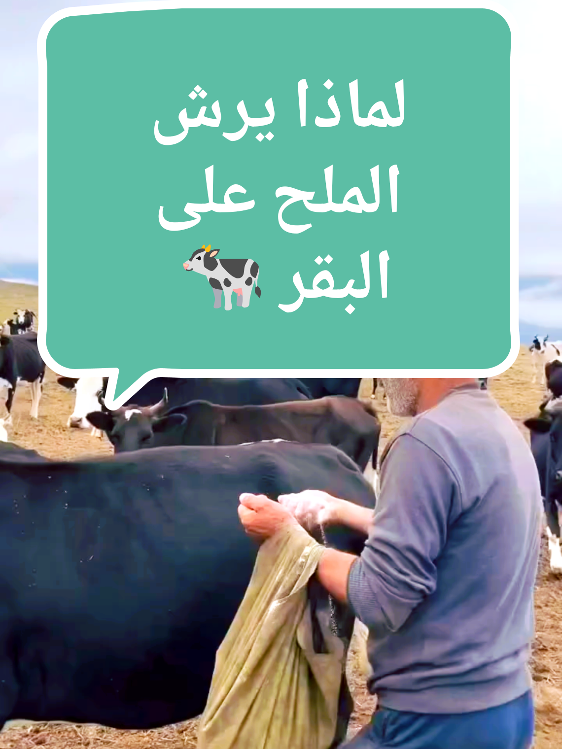 @الفلاحة في مسيلة