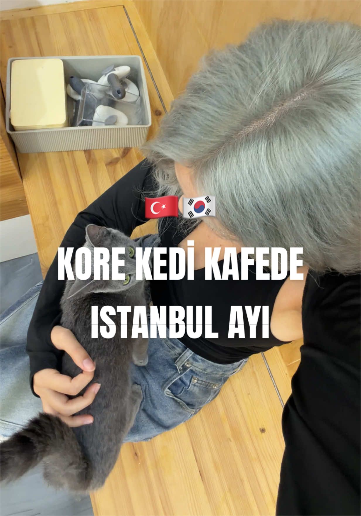 @selin ⭑.ᐟ