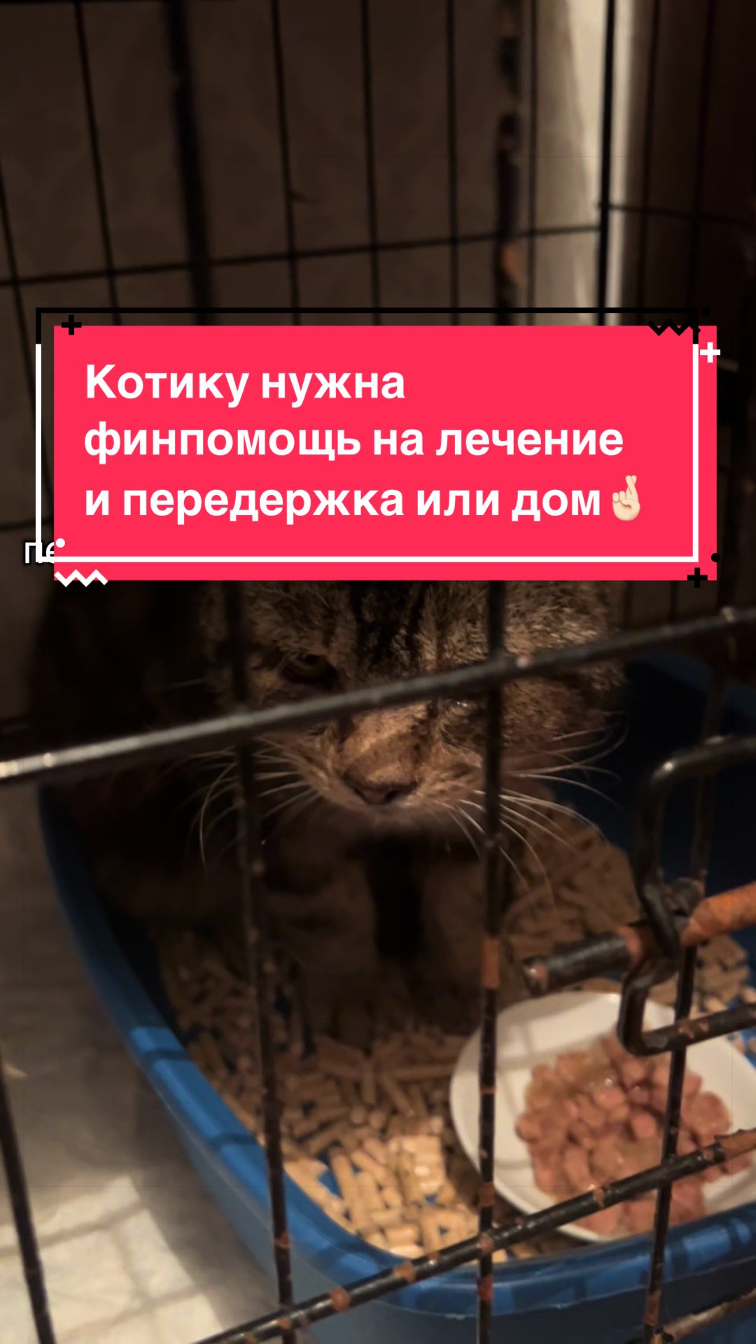 @Оля & Co🐈⬛🐈