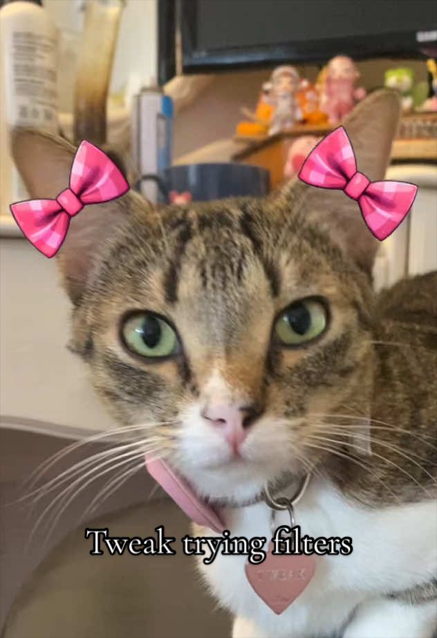 @billieonlive