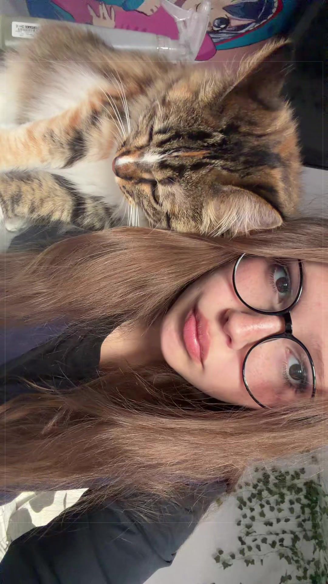 @скара