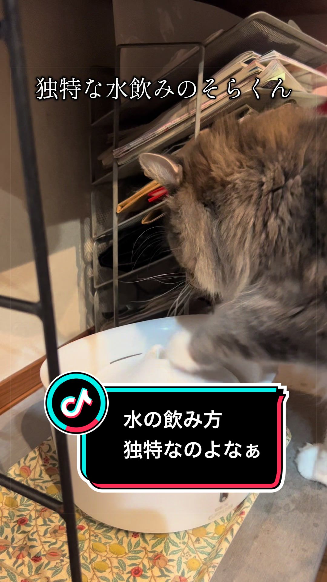 @稲荷弥勒
