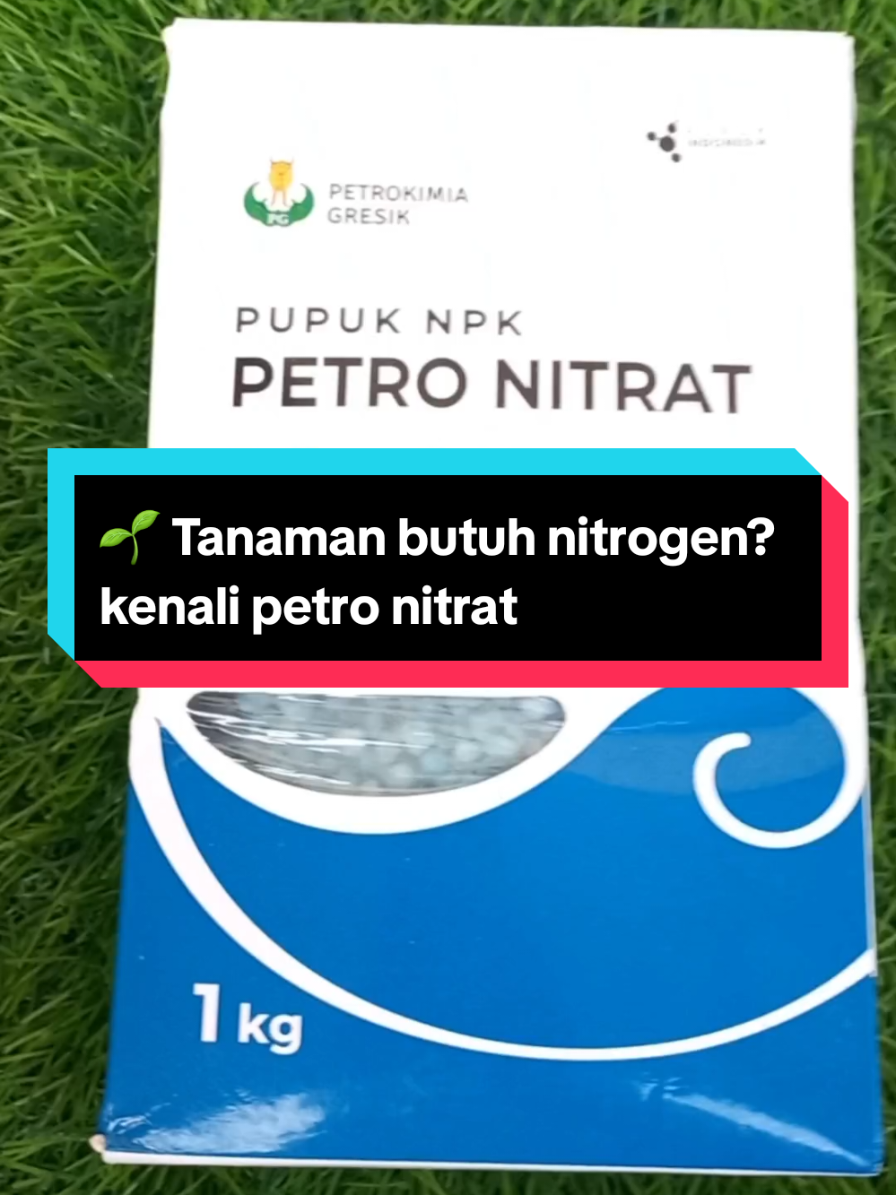 @Nuansatani TV
