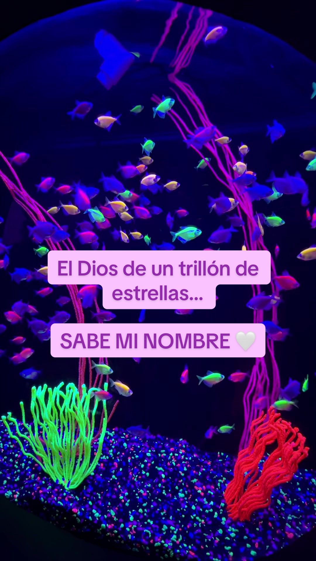 @Esmelii Garc&iacute;a