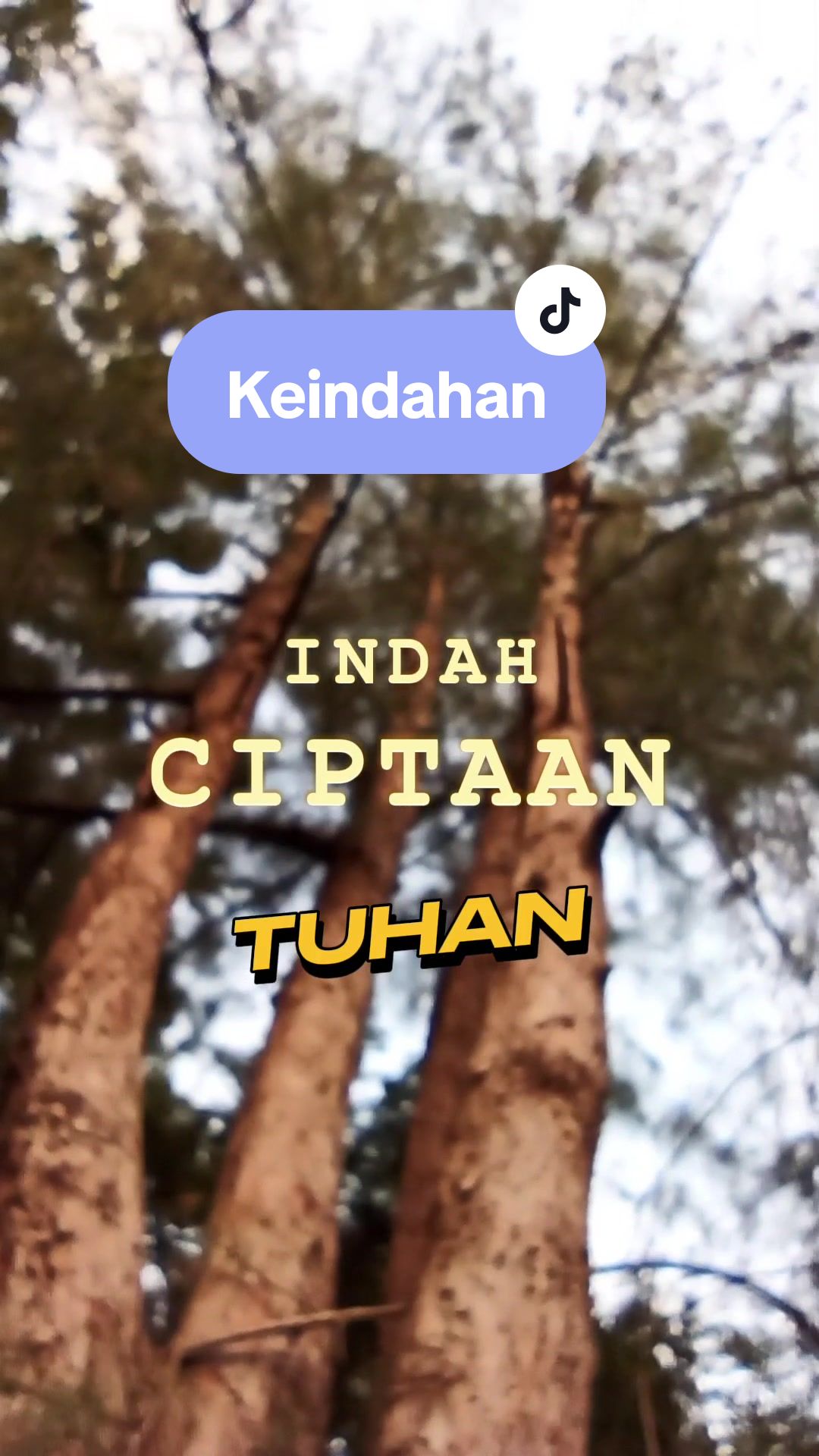 @Megat Lutfi Megat Rahim