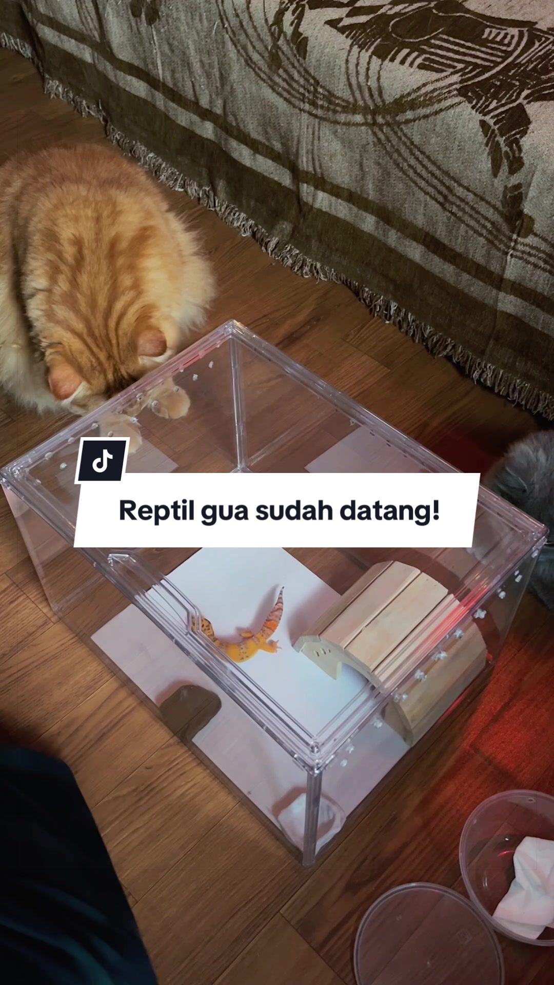 @FAIZ FAZLI
