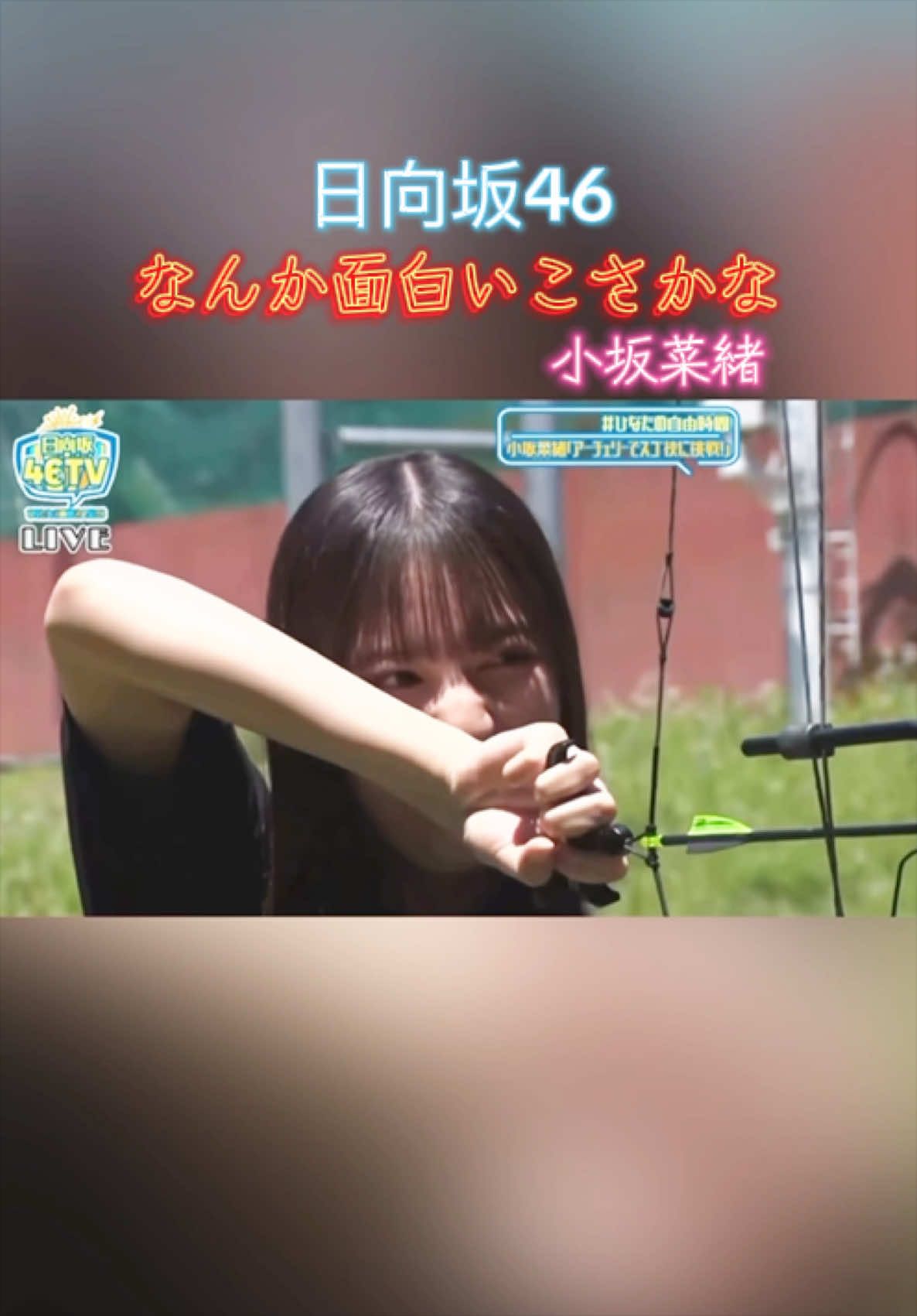 @櫻乃日