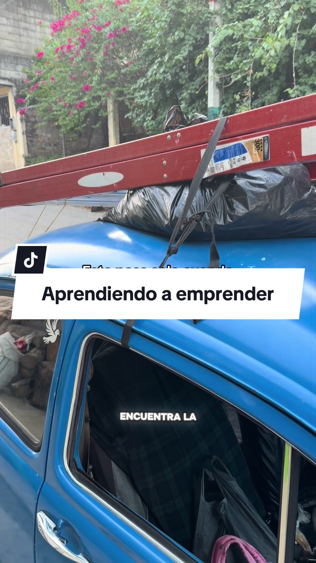 @Luis