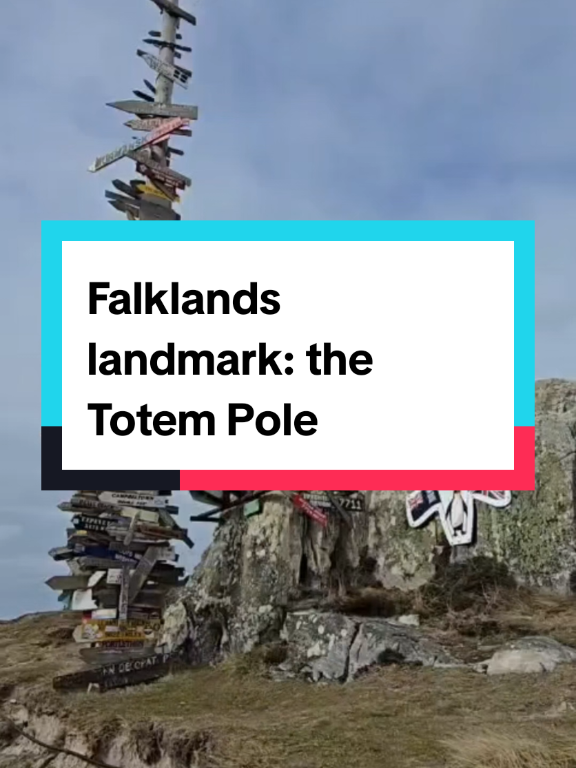 @🇫🇰Roxy in the Falklands🇫🇰