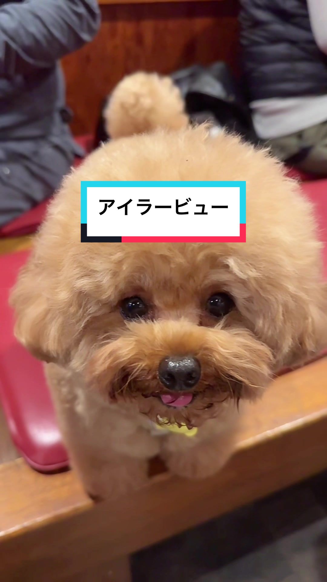 @ããð«ð§ž