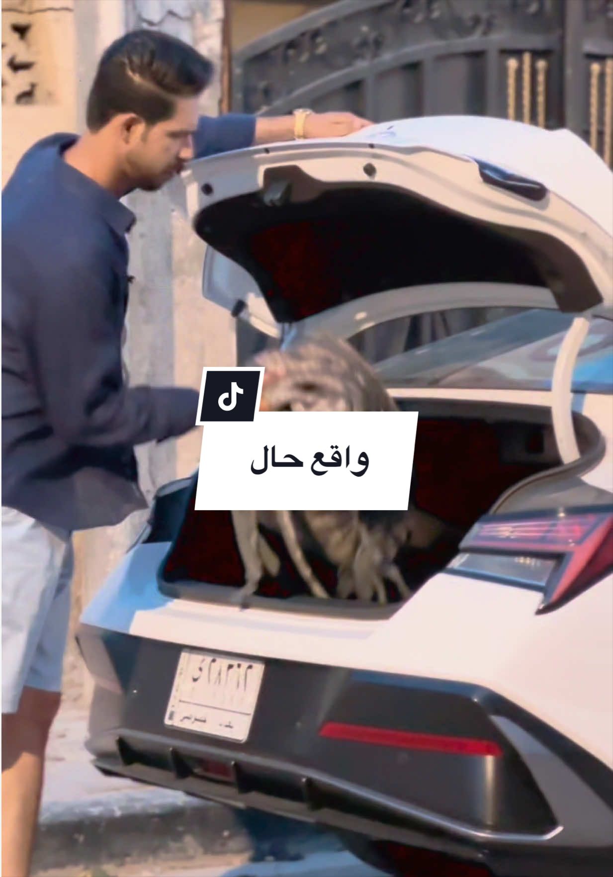@أحمد الأسدي