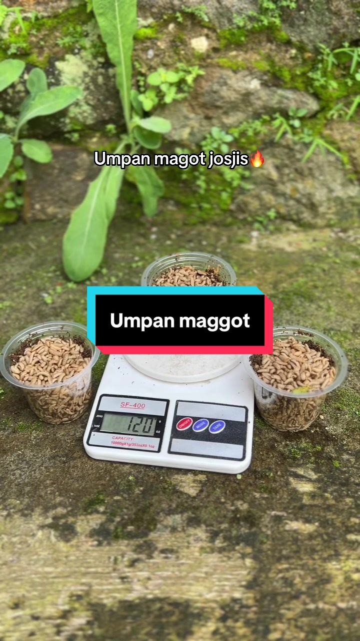 @unclemancing