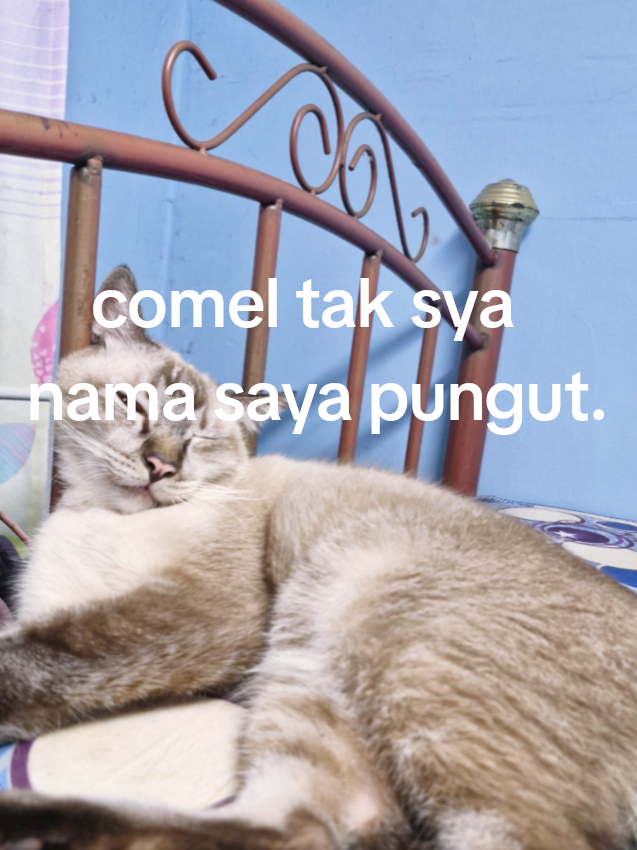 @puanrayahmdyasinmkngah