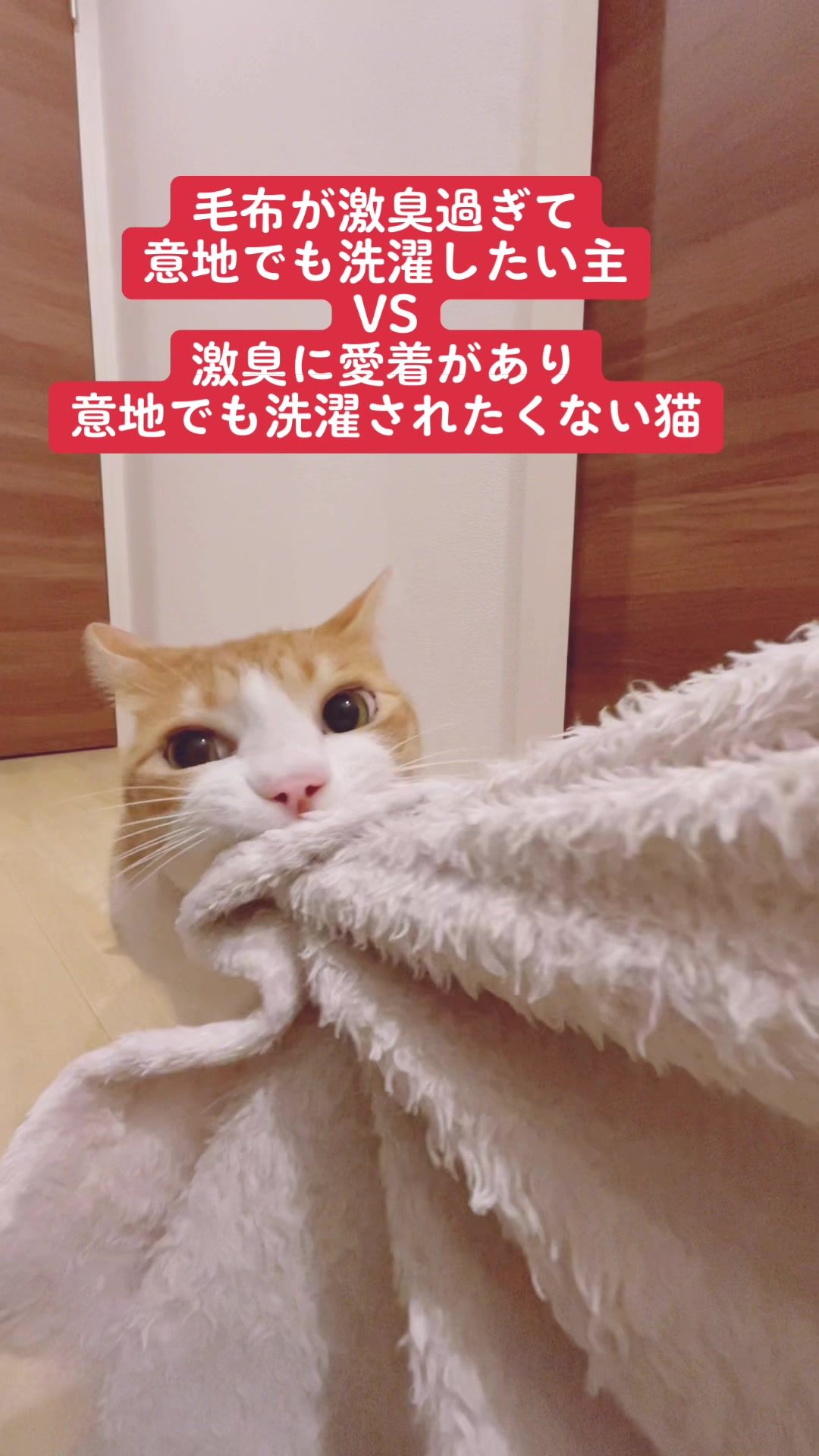 @みーこchannel