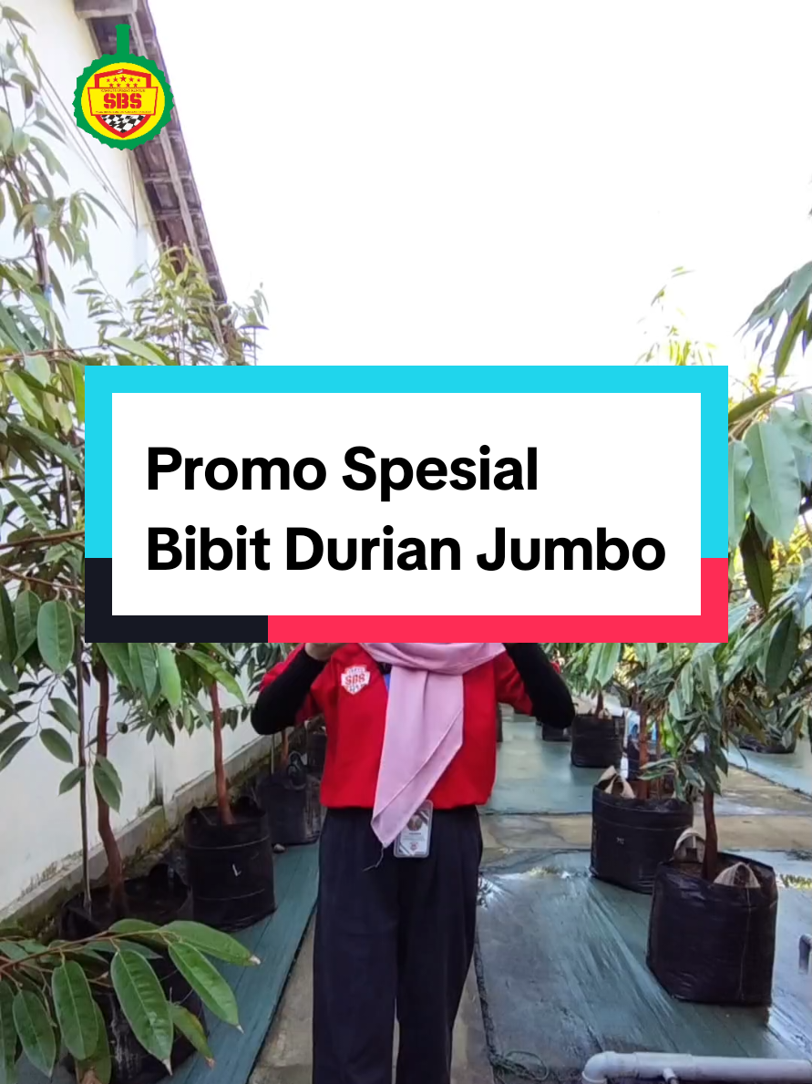 @Produksi Buah_SBS