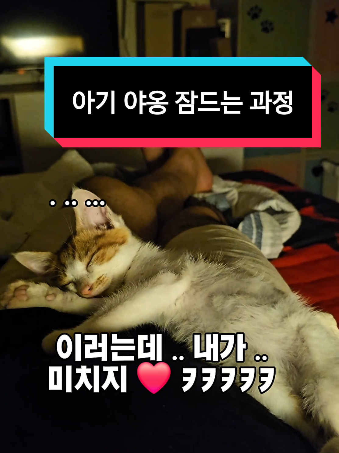 @🍩이상사&times;234🍩