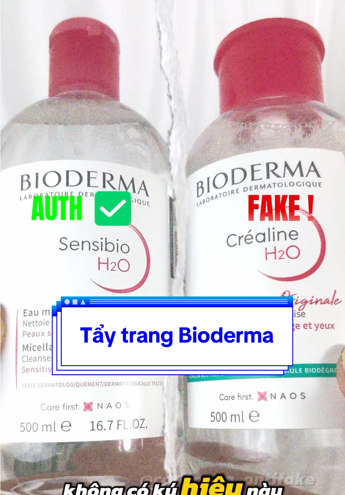 @coonteam_authfake