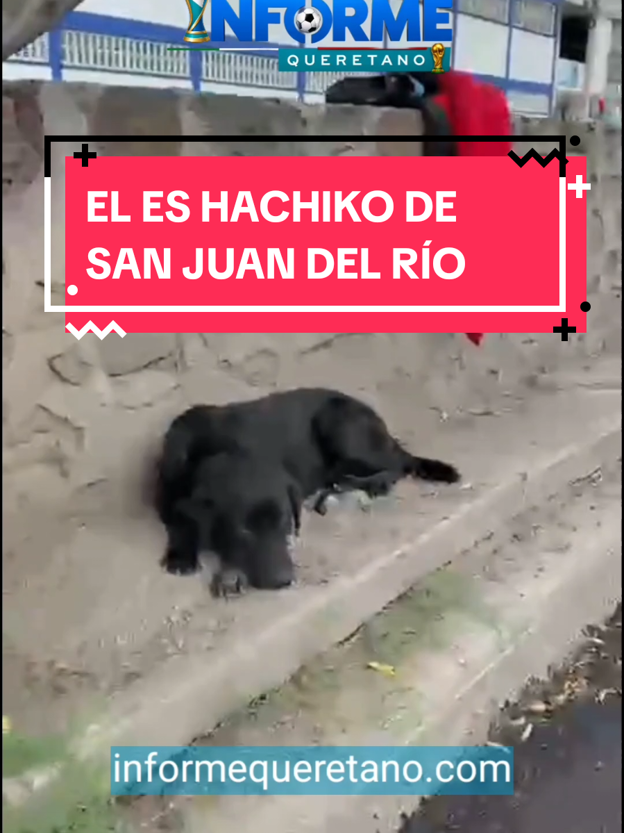 @informequeretano