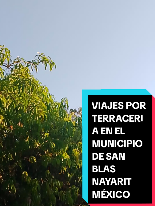 @Eliseo López