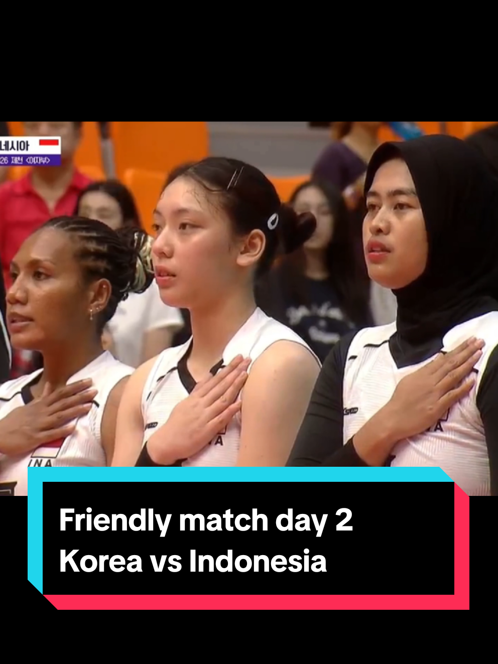 @라니아-Volleyball
