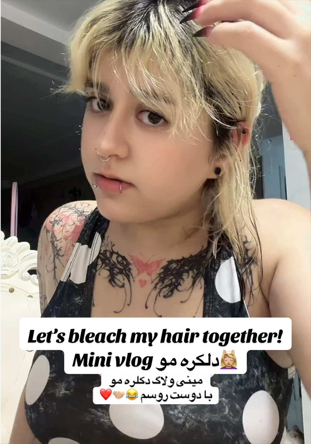 @Calico 카리코 🐈&zwj;⬛