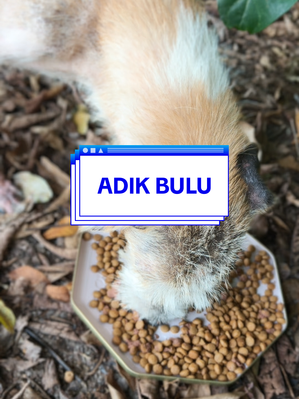 @🐕🐈⬛ Mommy Buluss 🐎🐒💙