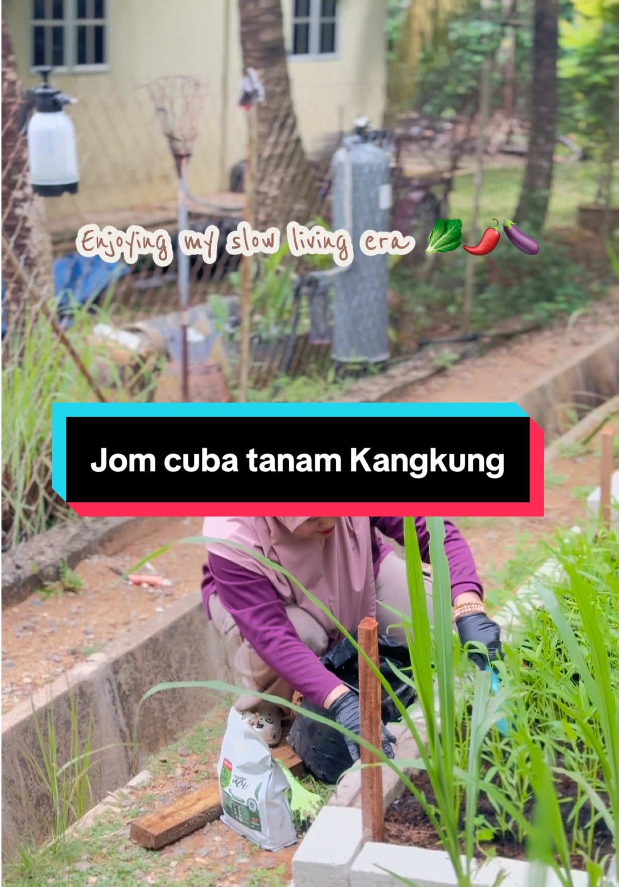@AB Agrofarm 588