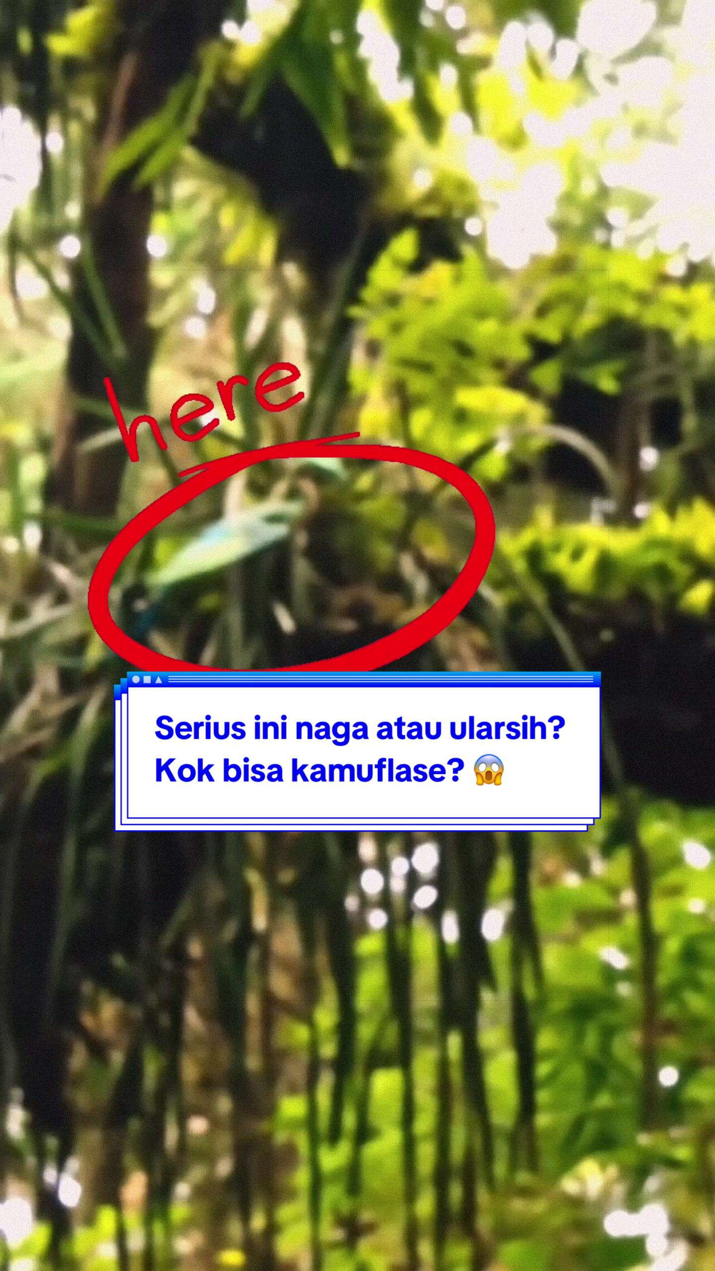 @Secret Files