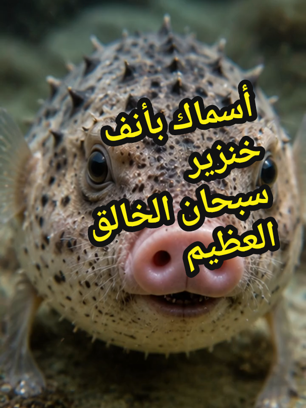 @الافتراس