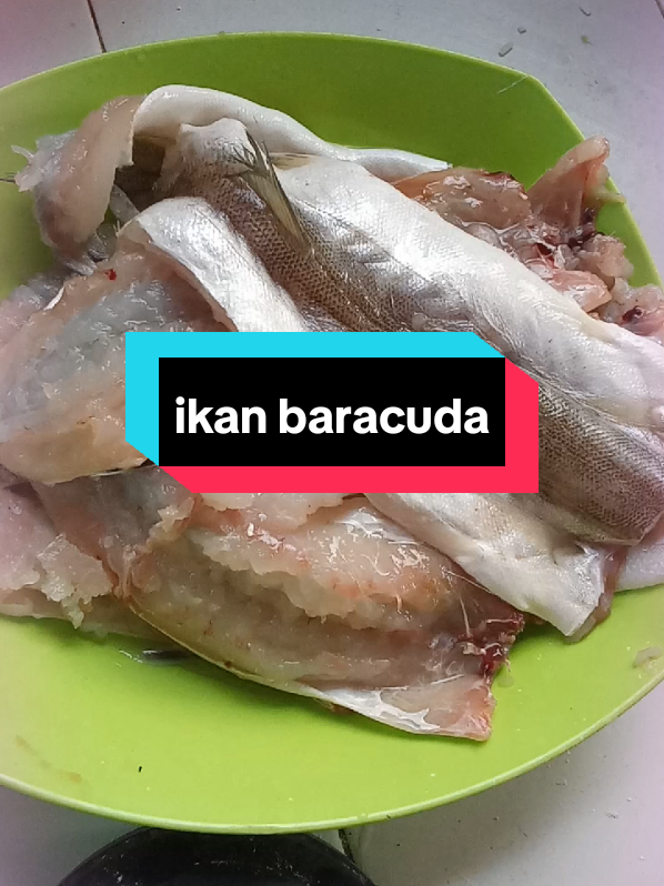 @ikca_mangurai