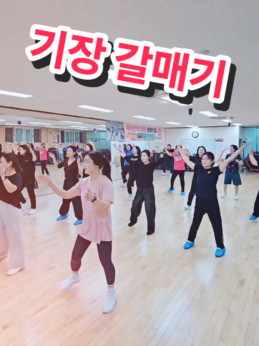 @틱톡왕비