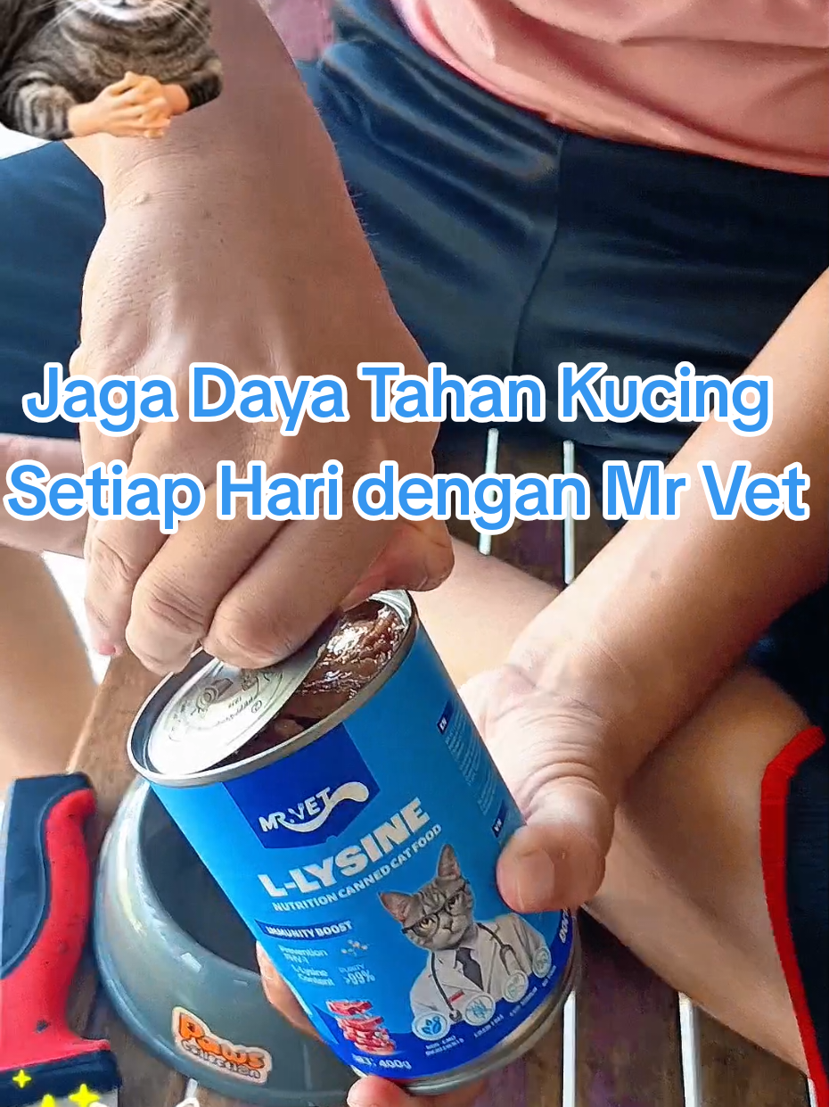 @Medayo Petcare