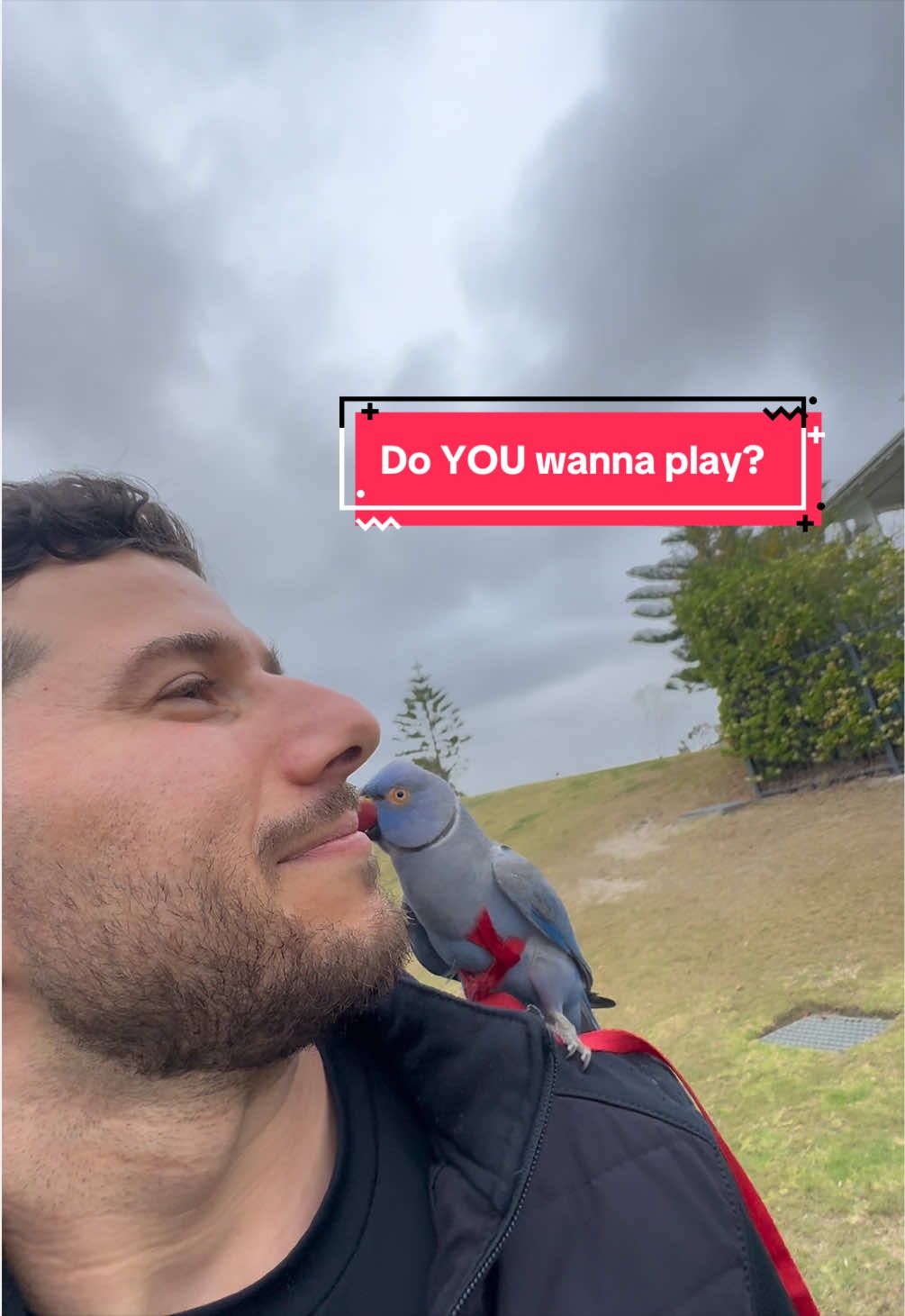 @Halloumi