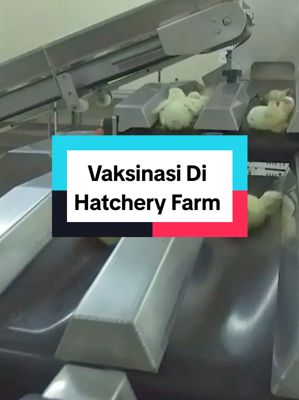 @Farmloka