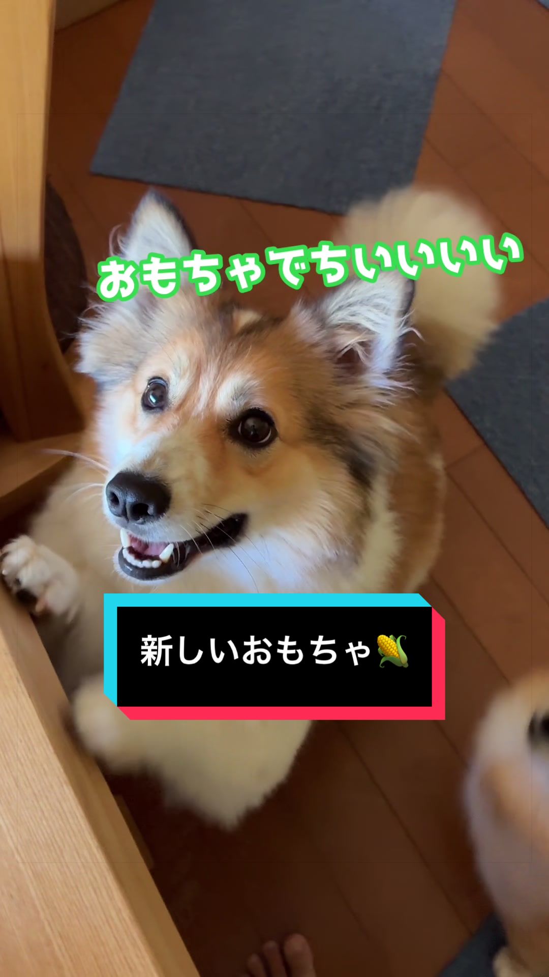 @サクサクビスケット