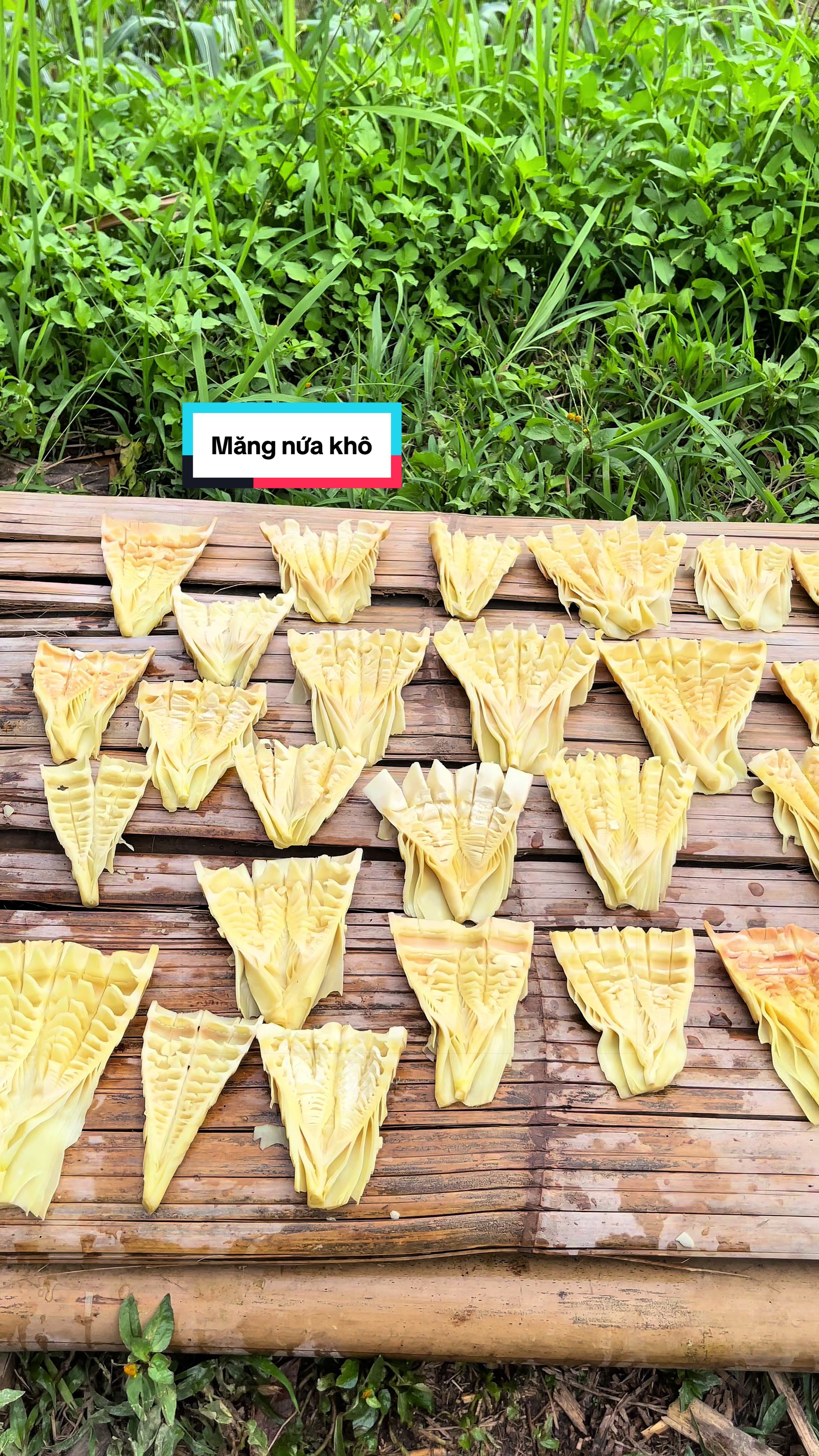 @Sửu Nhii