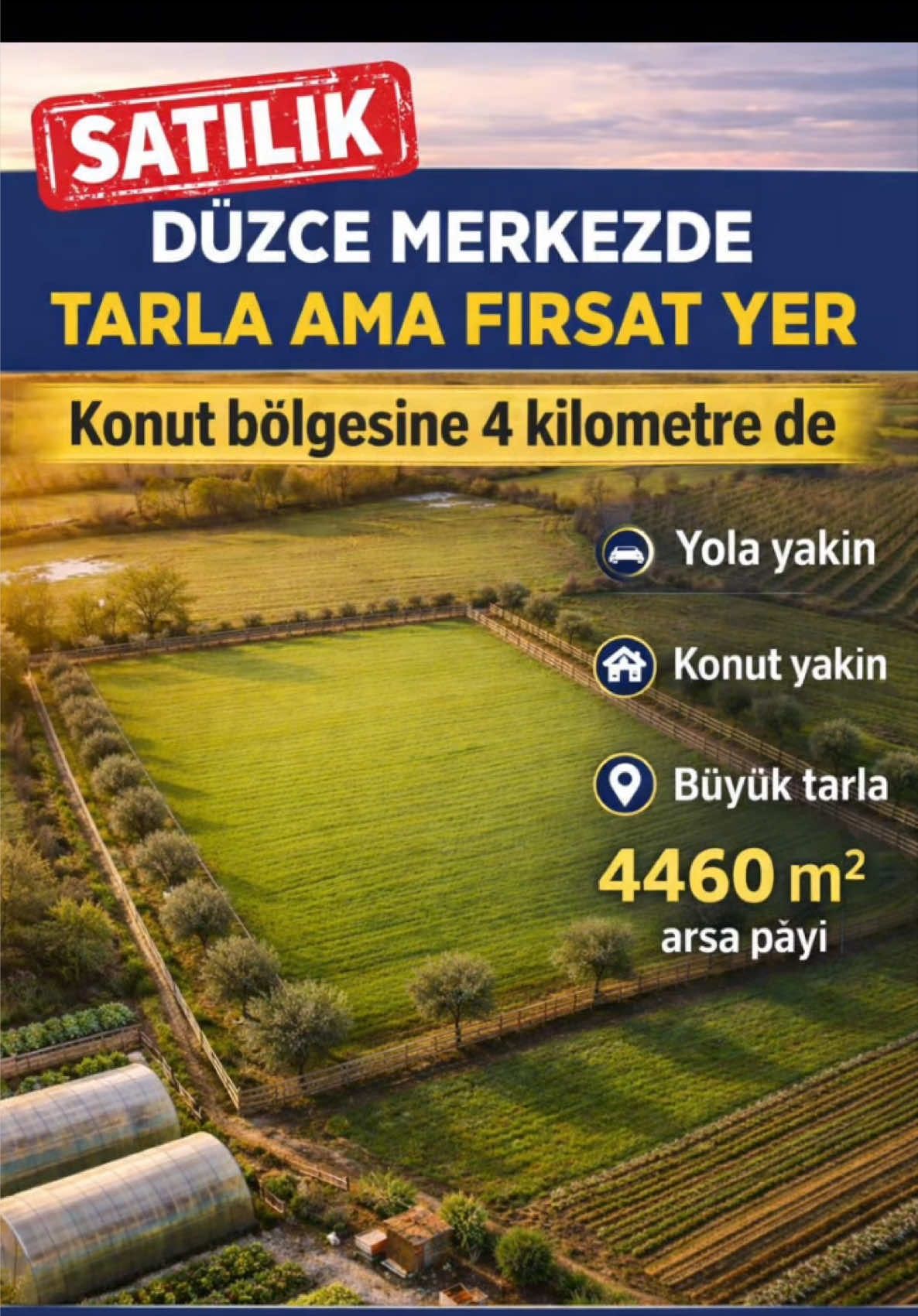 @proemlakgayrimenkul