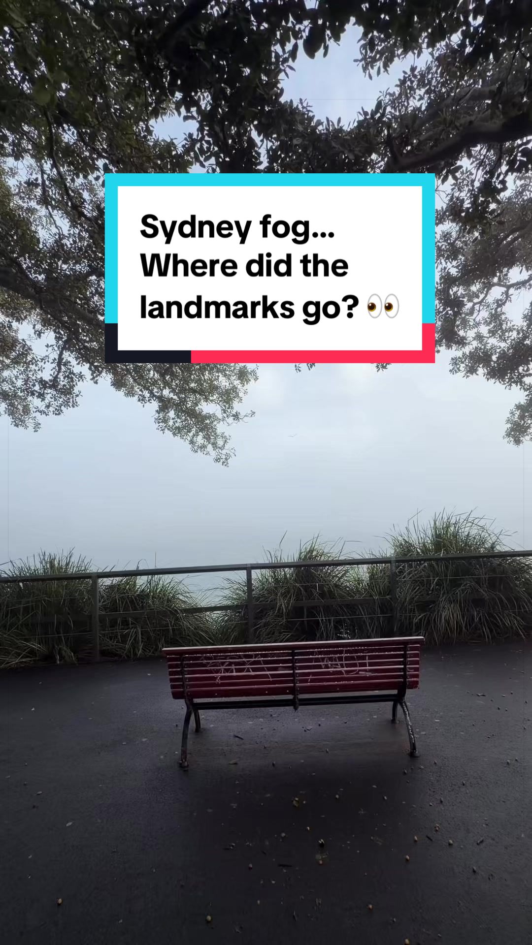 @Sydney