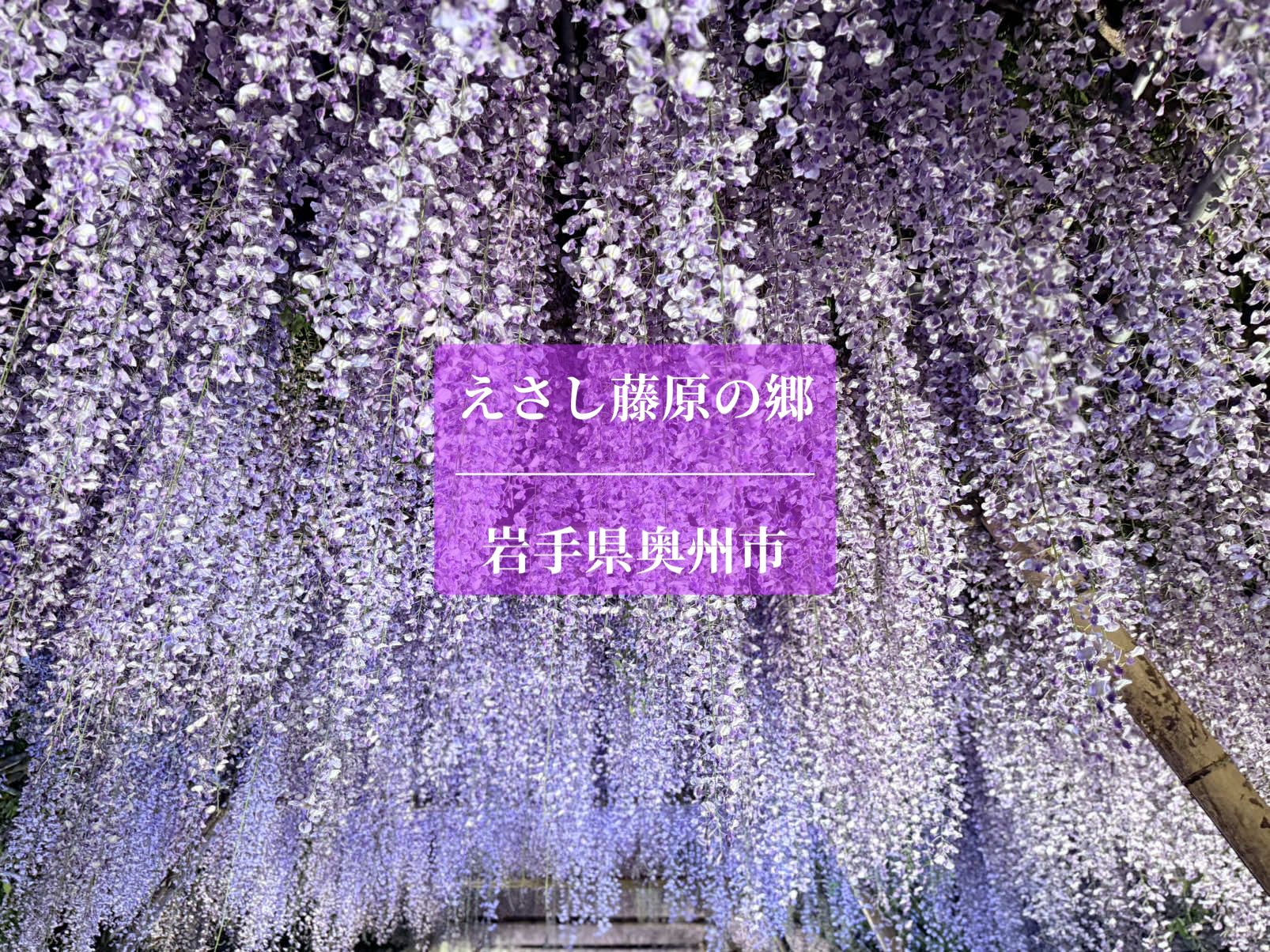 @micchon0809