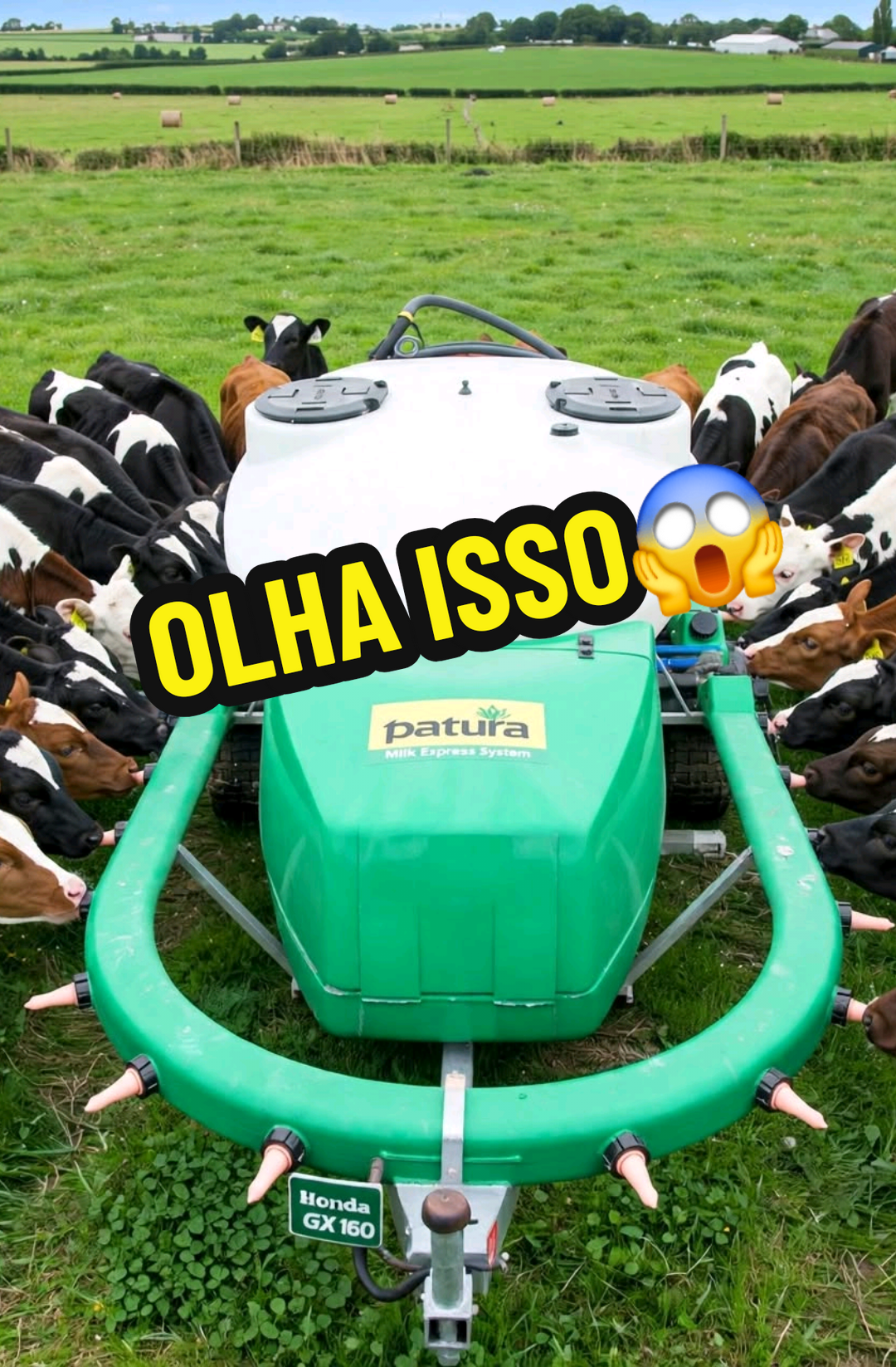 @RAIZ DO SABER