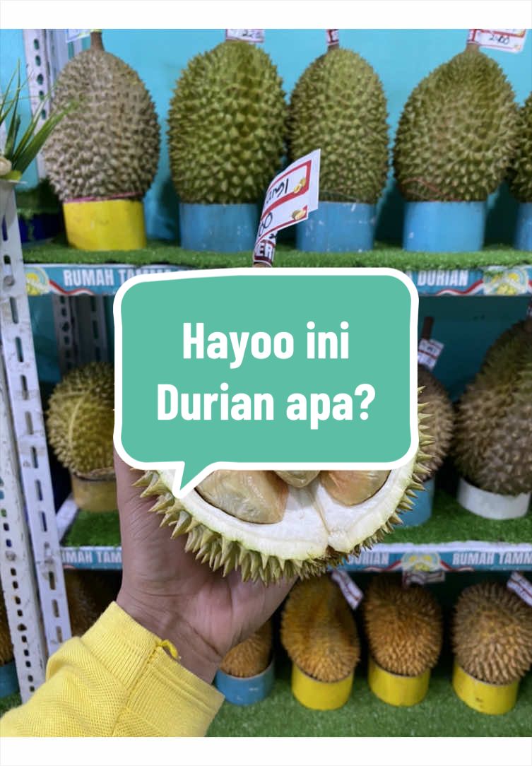 @Rumah Tamma Durian