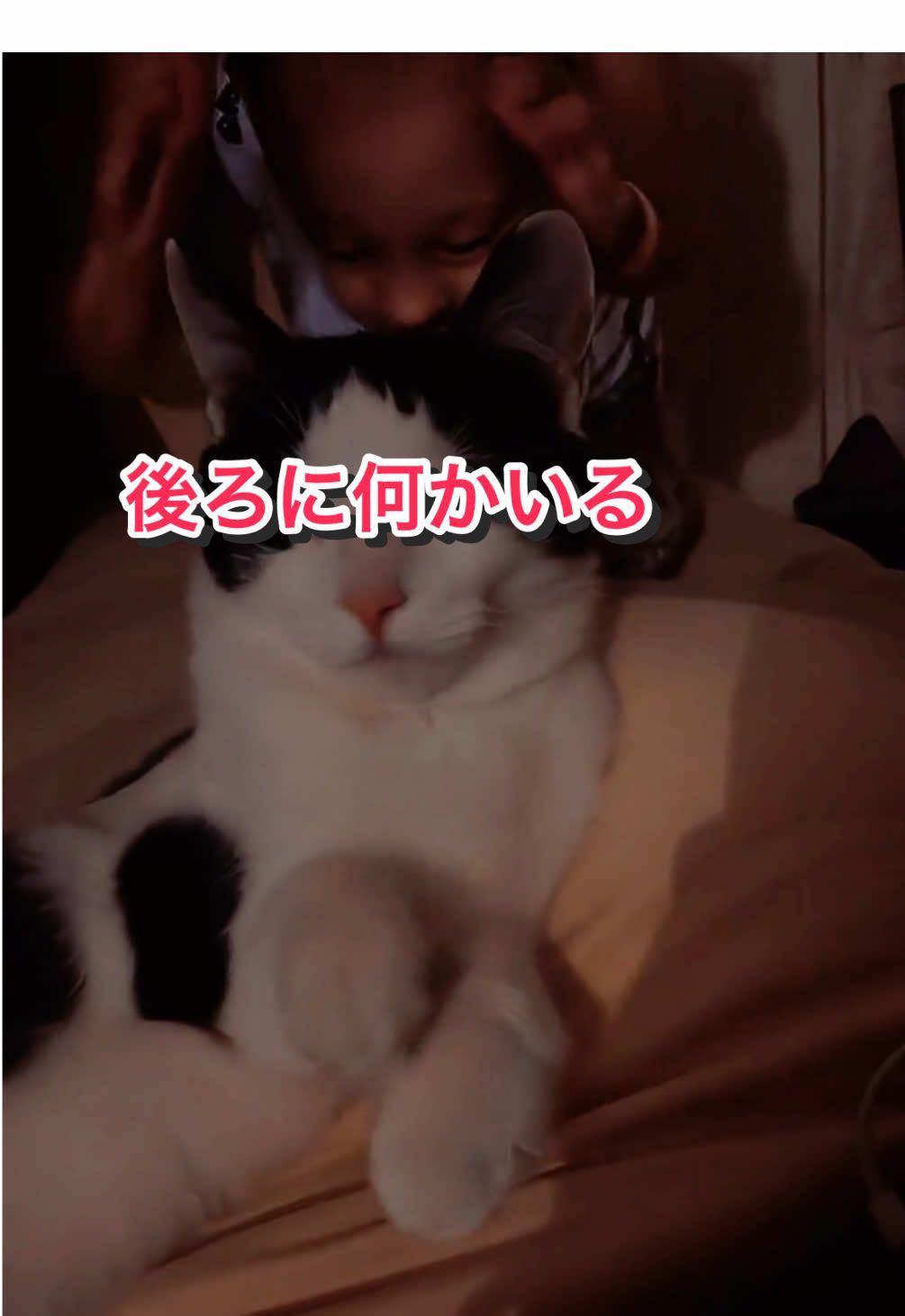 @陸丸 Rikumaru