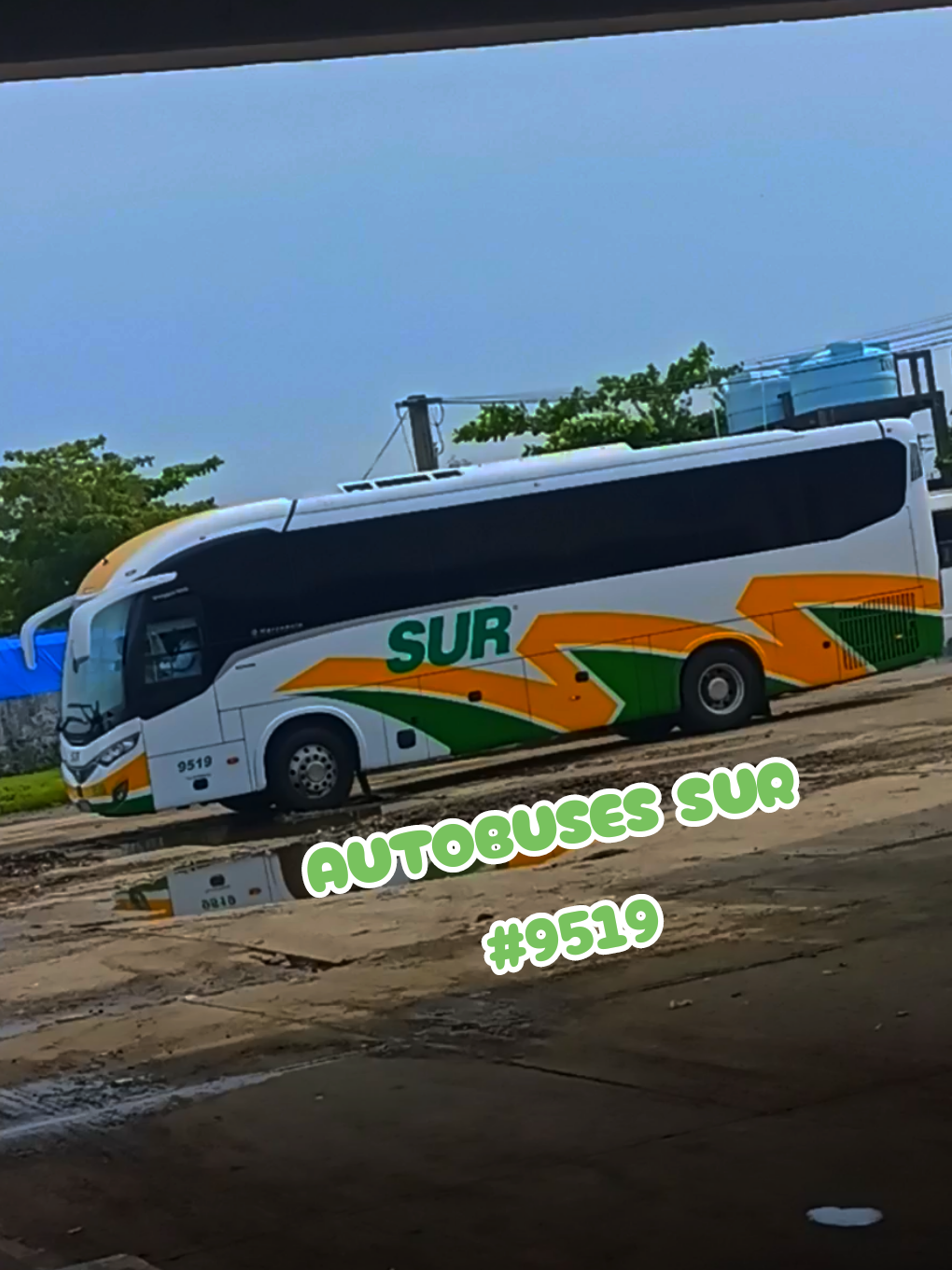 @Busologia Veracruzana 🍀🚍